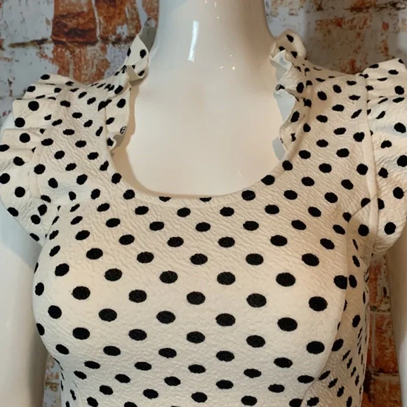 Anthropologie New with Tags Postmark Polka Dot Peplum Top - Picture 3 of 6